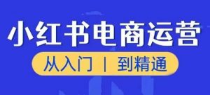 小红书电商运营课，从入门到精通，带你抓住又一个赚钱风口-网创学习资源