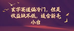 玄学赛道偏冷门，但是收益缺不低，适合新手小白【揭秘】-网创学习资源