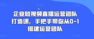 企业短视频直播运营团队打造课，手把手带你从0-1搭建运营团队-网创学习资源