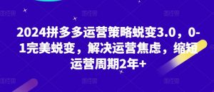 2024拼多多运营策略蜕变3.0，0-1完美蜕变，解决运营焦虑，缩短运营周期2年+-网创学习资源