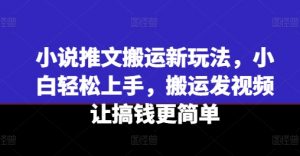 小说推文搬运新玩法，小白轻松上手，搬运发视频让搞钱更简单-网创学习资源