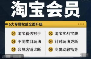 淘宝会员【淘宝所有课程，全面分析对手】，初级到高手全系实战宝典-网创学习资源