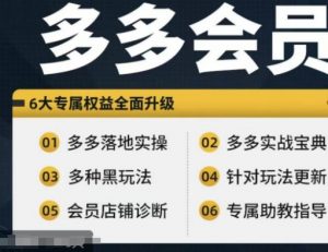 拼多多会员，拼多多实战宝典+实战落地实操，从新手到高阶内容全面覆盖-网创学习资源