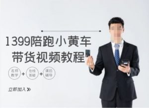 1399陪跑tiktok小黄车带货视频教程，tiktok跨境电商教程-网创学习资源