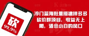 冷门蓝海批量搭建拼多多砍价群项目，收益无上限，适合小白的风口【揭秘】-网创学习资源