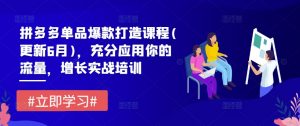 拼多多单品爆款打造课程(更新6月)，充分应用你的流量，增长实战培训-网创学习资源