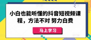 小白也能听懂的抖音短视频课程，方法不对 努力白费-网创学习资源