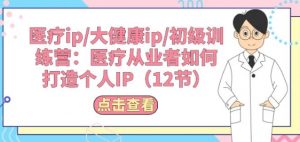 医疗ip/大健康ip/初级训练营：医疗从业者如何打造个人IP(12节)-网创学习资源