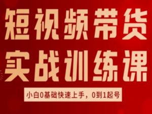 短视频带货实战训练课，好物分享实操，小白0基础快速上手，0到1起号-网创学习资源