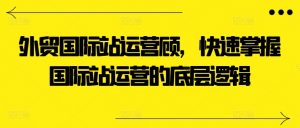 外贸国际站运营顾问，快速掌握国际站运营的底层逻辑-网创学习资源