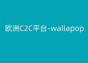 欧洲C2C平台-wallapop-kim跨境电商教程-网创学习资源