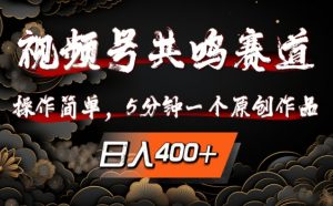 视频号共鸣赛道，操作简单，5分钟1个原创作品，日入几张【揭秘】-网创学习资源