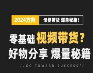 短视频母婴赛道实操流量训练营，零基础视频带货，好物分享，爆量秘籍-网创学习资源