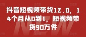 抖音短视频带货12.0，14个月从0到1，短视频带货90万件-网创学习资源
