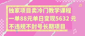 独家项目卖冷门教学课程一单88元单日变现5632元违规不封号长期项目【揭秘】-网创学习资源