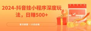 2024全网首次披露，抖音挂小程序深度玩法，日赚500+，简单、稳定，带渠道收入，小白必做【揭秘】-网创学习资源
