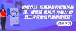 销冠养成-软硬兼备的销售技能课，懂策略 会技术 有能力 销冠三火轮助你突破销售瓶颈!-网创学习资源