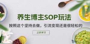 养生博主SOP玩法，按照这个坚持去做，引流变现还是很轻松的-网创学习资源