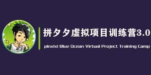 黄岛主·拼夕夕虚拟变现3.0，蓝海平台的虚拟项目，单天50-500+纯利润-网创学习资源