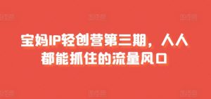 宝妈IP轻创营第三期，人人都能抓住的流量风口-网创学习资源