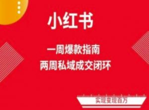 爆款小红书免费流量体系课程(两周变现)，小红书电商教程-网创学习资源