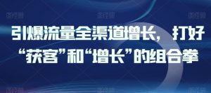 引爆流量全渠道增长，打好“获客”和“增长”的组合拳-网创学习资源