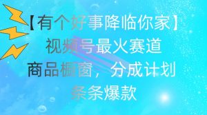 【有个好事降临你家】视频号爆火赛道，商品橱窗，分成计划，条条爆款【揭秘】-网创学习资源