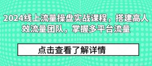 2024线上流量操盘实战课程，搭建高人效流量团队，掌握多平台流量-网创学习资源