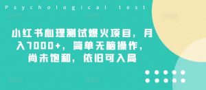 小红书心理测试爆火项目，月入7000+，简单无脑操作，尚未饱和，依旧可入局-网创学习资源