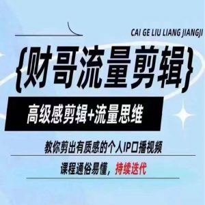 财哥流量剪辑，高级感剪辑+流量思维，教你剪出有质感的个人IP口播视频-网创学习资源