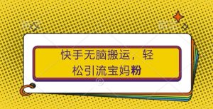 快手无脑搬运，轻松引流宝妈粉，纯小白轻松上手【揭秘】-网创学习资源