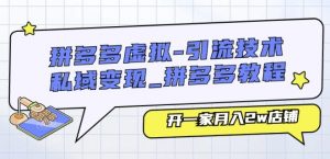 拼多多虚拟-引流技术与私域变现_拼多多教程：开一家月入2w店铺-网创学习资源