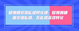 短视频引流私域转化课，短视频精准引流私域，在私域高效转化-网创学习资源