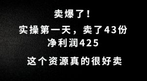 这个资源，需求很大，实操第一天卖了43份，净利润425【揭秘】-网创学习资源