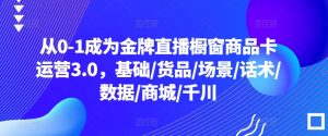 从0-1成为金牌直播橱窗商品卡运营3.0，基础/货品/场景/话术/数据/商城/千川-网创学习资源