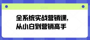 全系统实战营销课，从小白到营销高手-网创学习资源