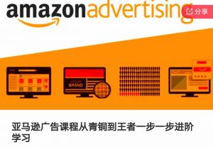 亚马逊广告课程，从青铜到王者一步一步进阶学习-网创学习资源