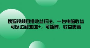 搜狐视频自撸收益玩法，一台电脑收益可以达到3k+，可矩阵，收益更高【揭秘】-网创学习资源