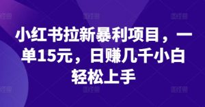 小红书拉新暴利项目，一单15元，日赚几千小白轻松上手【揭秘】-网创学习资源