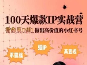 小红书100天爆款IP实战营，带你从0到1做出高价值的小红书号-网创学习资源