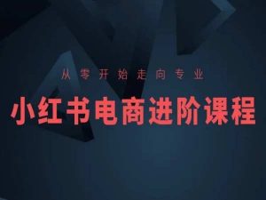 从零开始走向专业，小红书电商进阶课程-网创学习资源