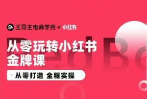 王导主·小红书电商运营实操课，​从零打造  全程实操-网创学习资源