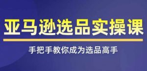 亚马逊选品实操课程，快速掌握亚马逊选品的技巧，覆盖亚马逊选品所有渠道-网创学习资源