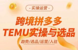 跨境拼多多TEMU实操与选品，多多temu跨境选品运营实操-网创学习资源
