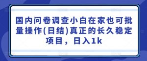 国内问卷调查小白在家也可批量操作(日结)真正的长久稳定项目，日入1k【揭秘】-网创学习资源