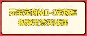 元宝宠物从0~1宠物短视频带货实战课-网创学习资源