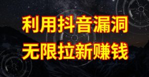 利用抖音链接漏洞，无限拉新赚钱【漏洞原理+操作流程】【揭秘】-网创学习资源