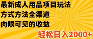 最新成人用品项目玩法，方式方法全渠道，轻松日入2K+【揭秘】-网创学习资源