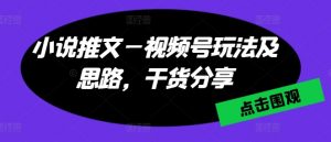 小说推文—视频号玩法及思路，干货分享-网创学习资源