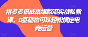 拼多多低成本爆款流实战私教课，0基础也可以轻松搞定电商运营-网创学习资源